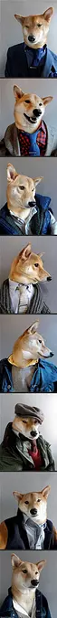 Very Professional Dog