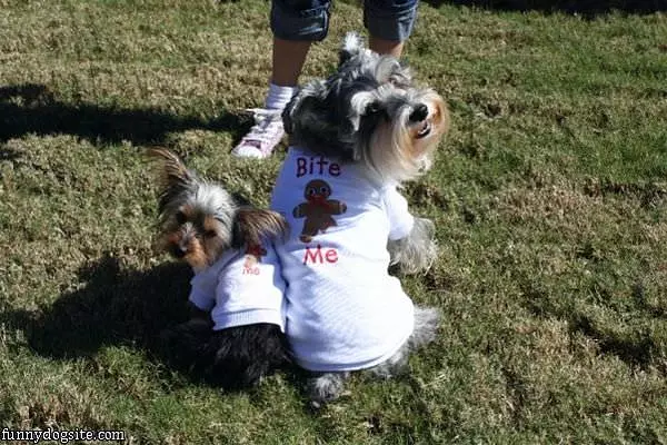 Max And Mia