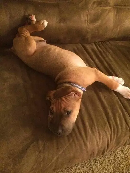 Just Relaxing Here