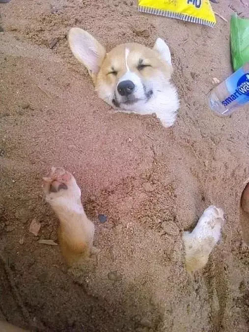 Buried