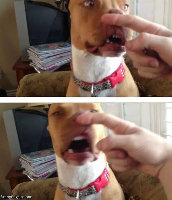 Going To Sneeze