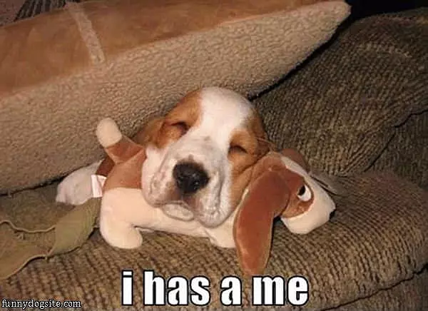 I Has A Me