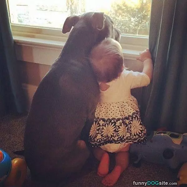 I Will Protect You