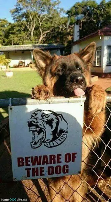 Beware Of The Dog