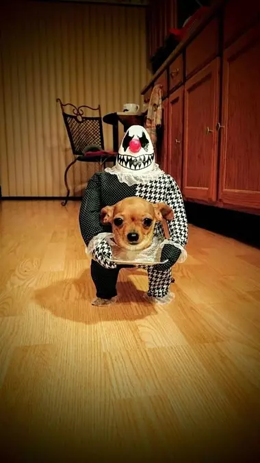 My Costume