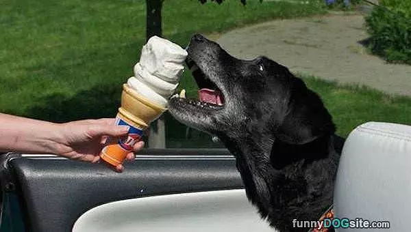 Yes I Want A Lick