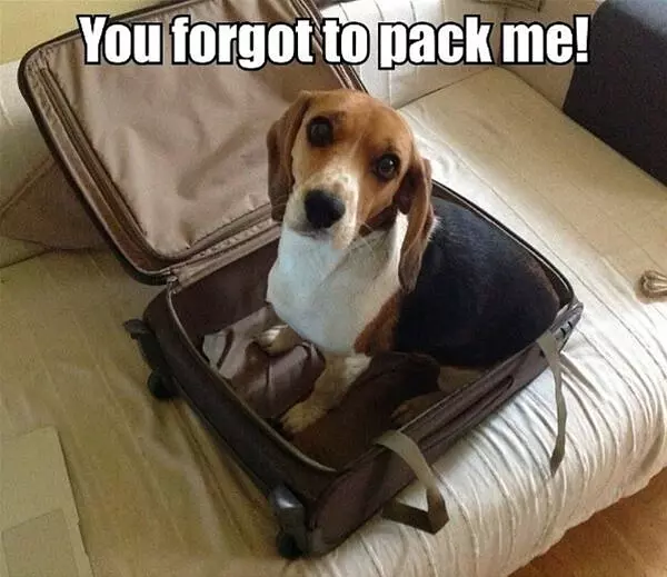 Dont Forget Me
