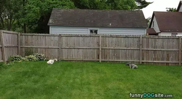 A Real Stand Off