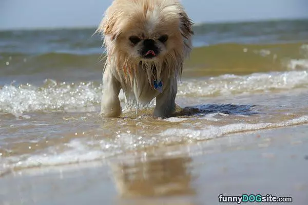 At The Beach