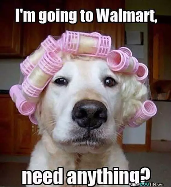 Need Anything From Walmart