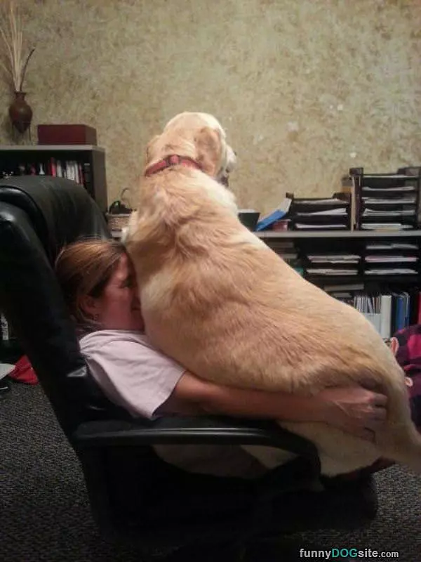 No Im A Lap Dog