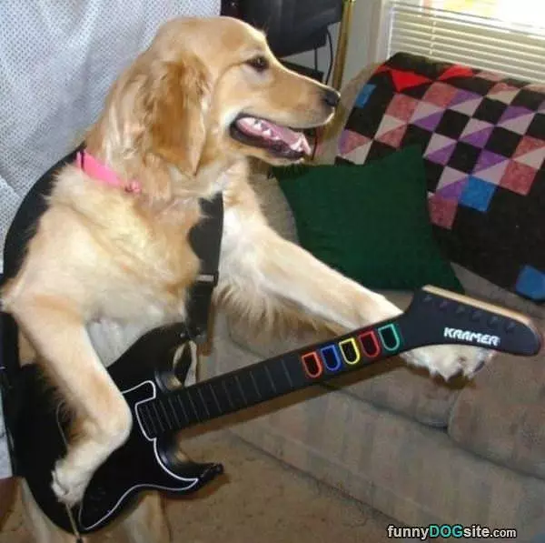 Guitar Hero