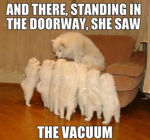 Scary Story