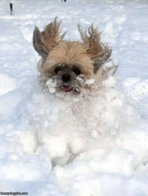 Running In The Snow