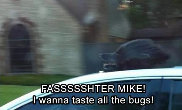 Fasterrrrr Mike