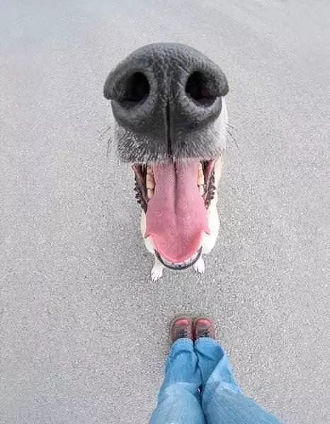 Can I Has A Snack Please