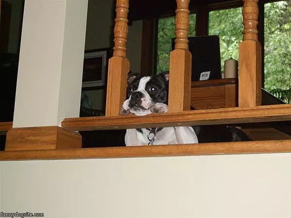 I Wish I Could Go Outside And Play
