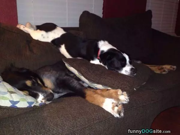 Really Relaxed