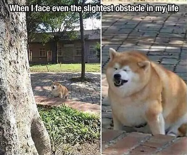 The Slightest Obstacle