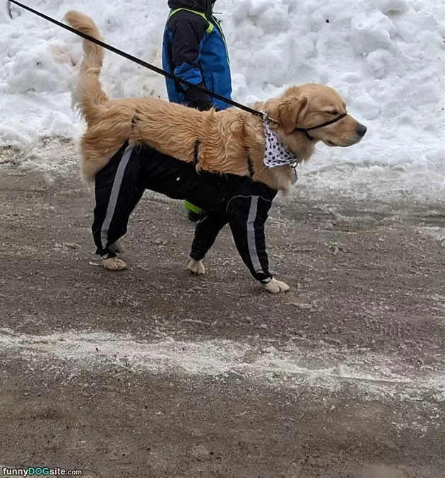Dressed For The Cold