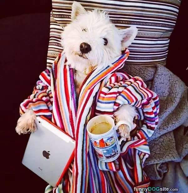 Like Saturday Morning