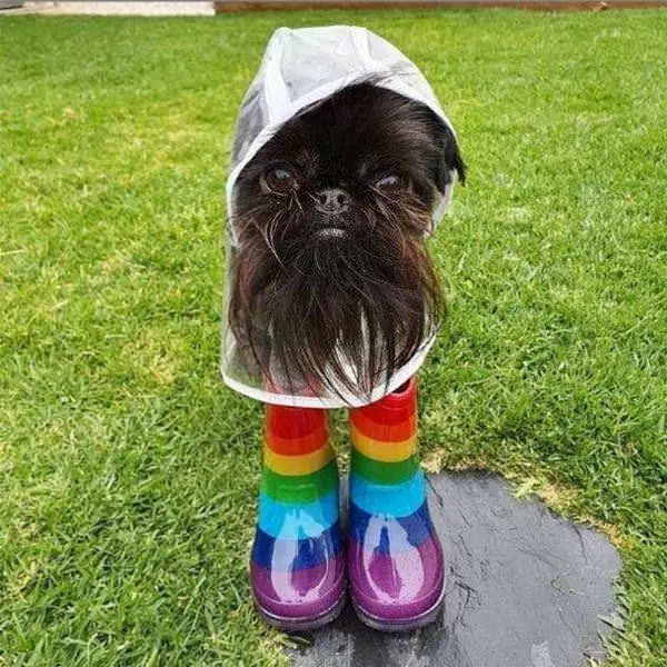 Ready For The Rain
