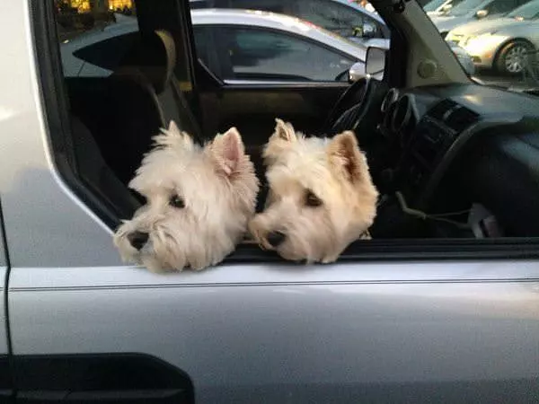 Poking Our Heads Out
