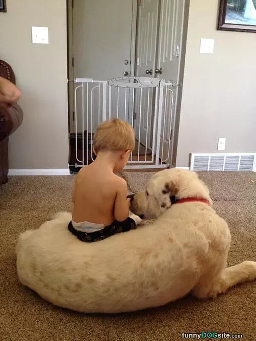 The Best Friends