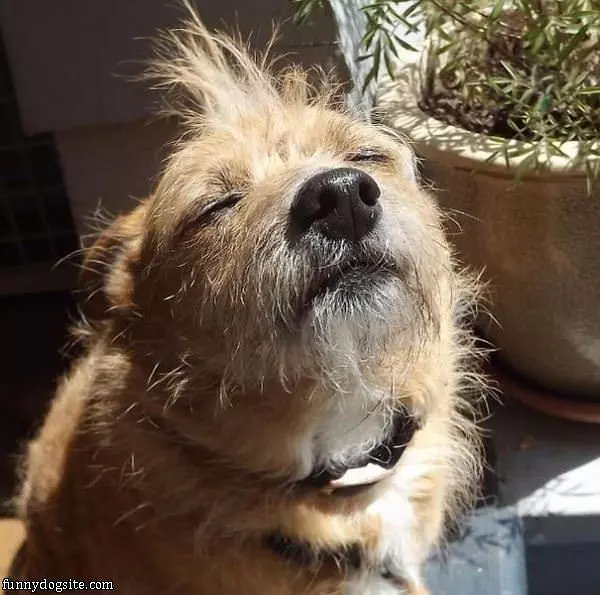 The Sun Is Warm Man
