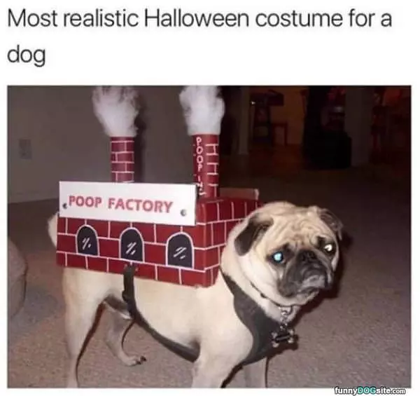 The Poop Factory