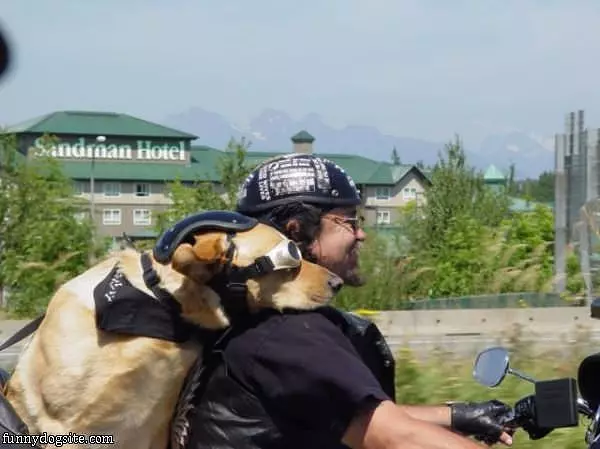 Going For A Ride