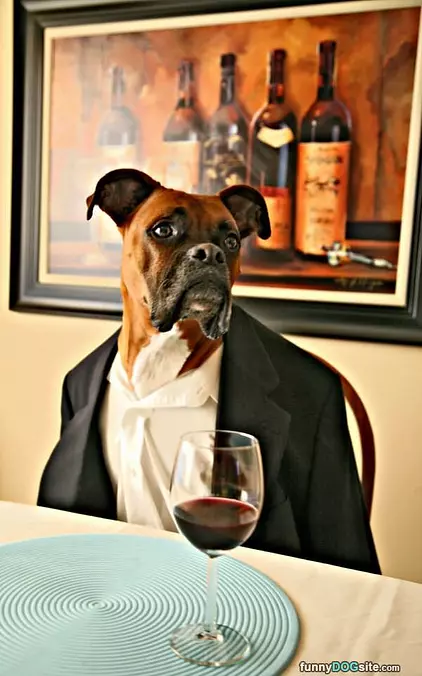 Dinner Time
