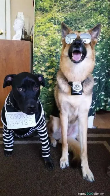 Cops And Robbers