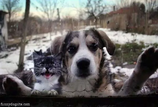Let Us In Already