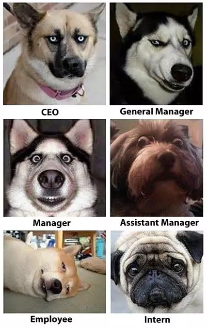 All The Faces
