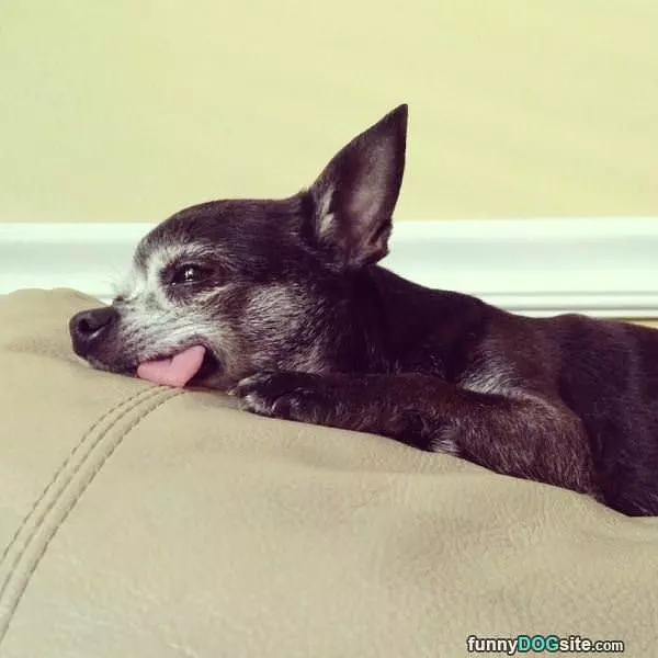 Relaxed