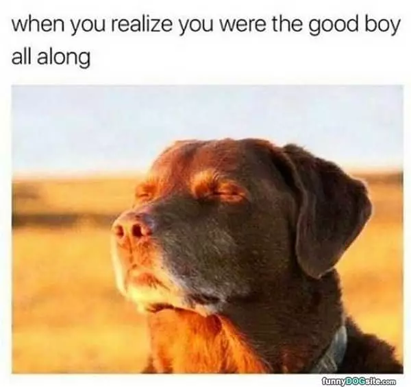 The Good Boy All Along