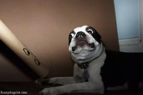 I See You Too