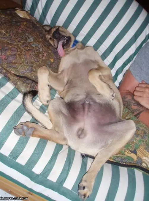 Nap How I Want