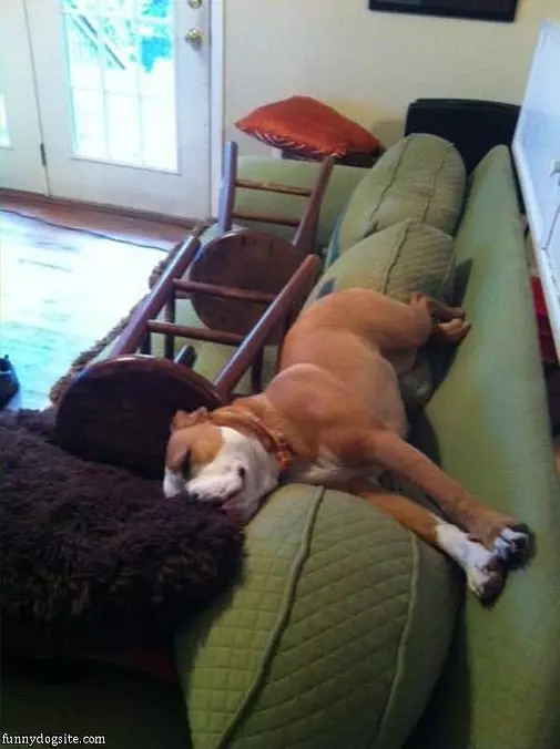 This Is Where I Sleep