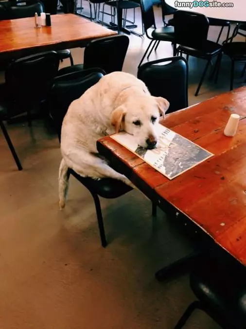 Ill Just Wait Here
