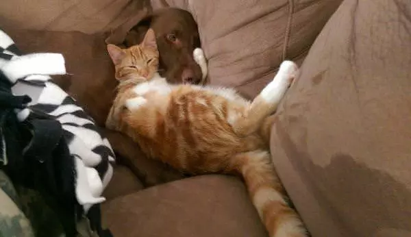 All Tucked In Together
