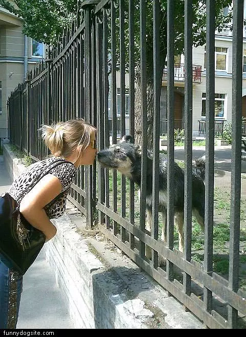 Quick Kiss