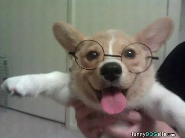 Do I Look Smart