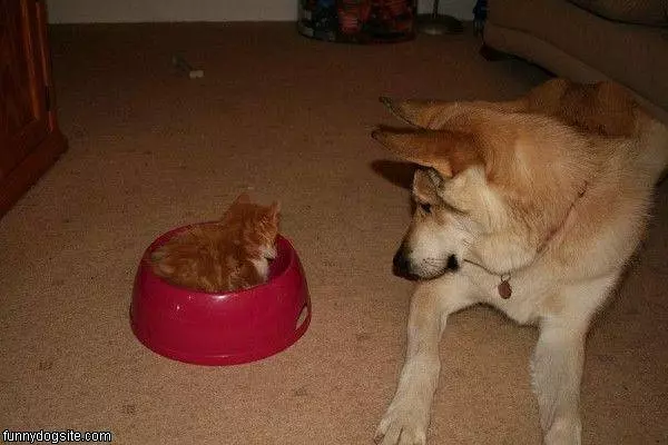 Snack Time