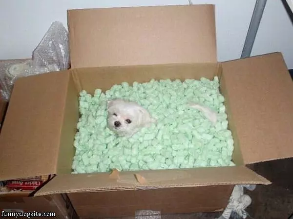 Ready For Shipping