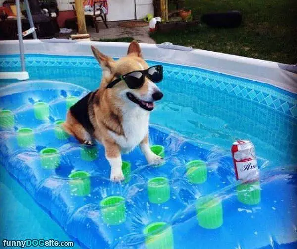 Having An Awesome Day