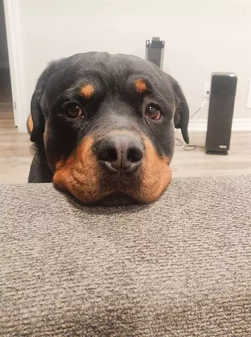 Can I Have Snacks