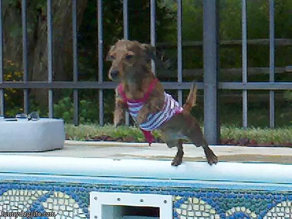 Abby Diving