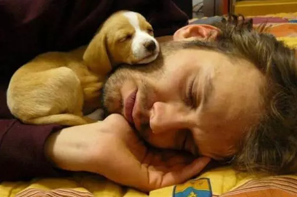 Found A Warm Place To Pass Out